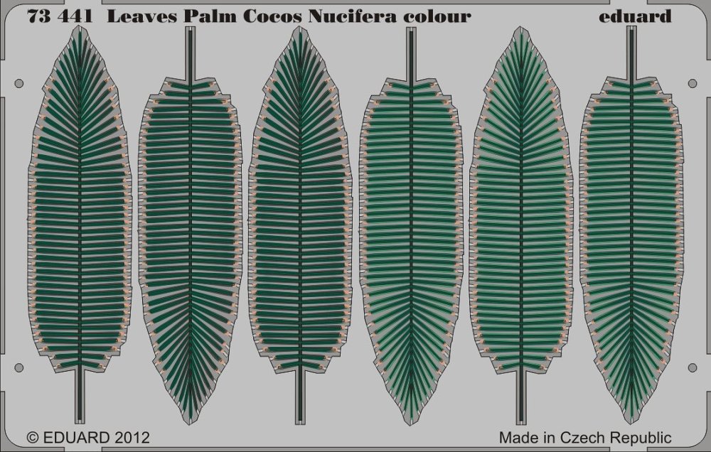 SET Leaves Palm Cocos Nucifera colour