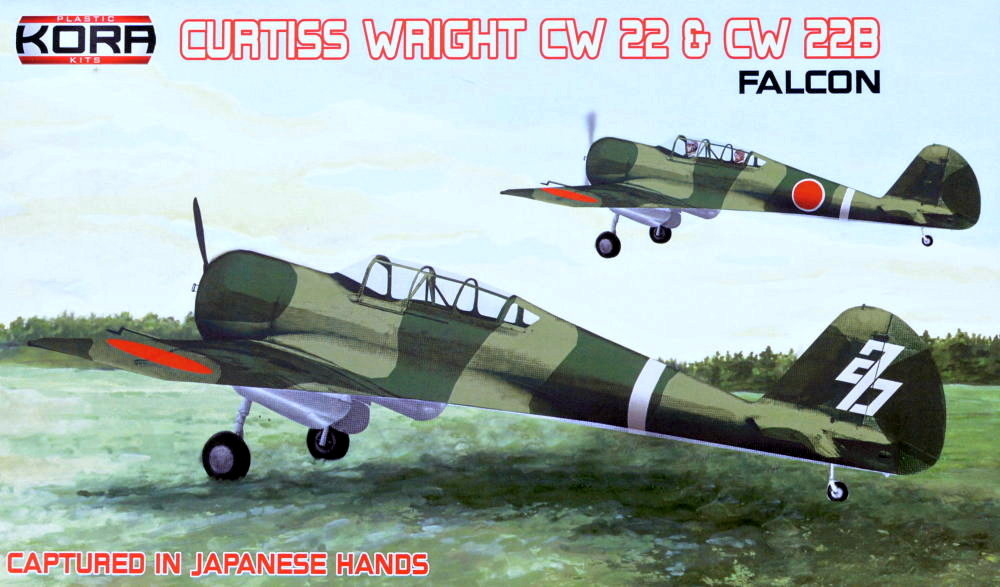 1/72 CW 22 & 22B Falcon Captured in Japanese Hands