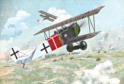 1/48 Fokker D.VII  (Alb. late)