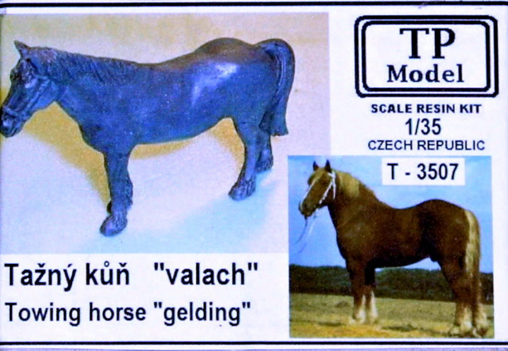 1/35 Towing horse 'Gelding' (resin set)