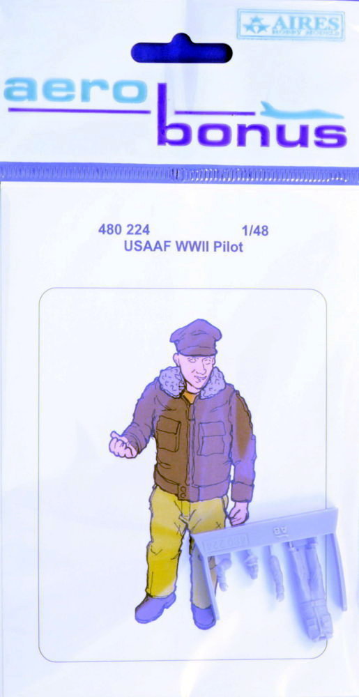 1/48 USAAF WWII Pilot (1 fig.)