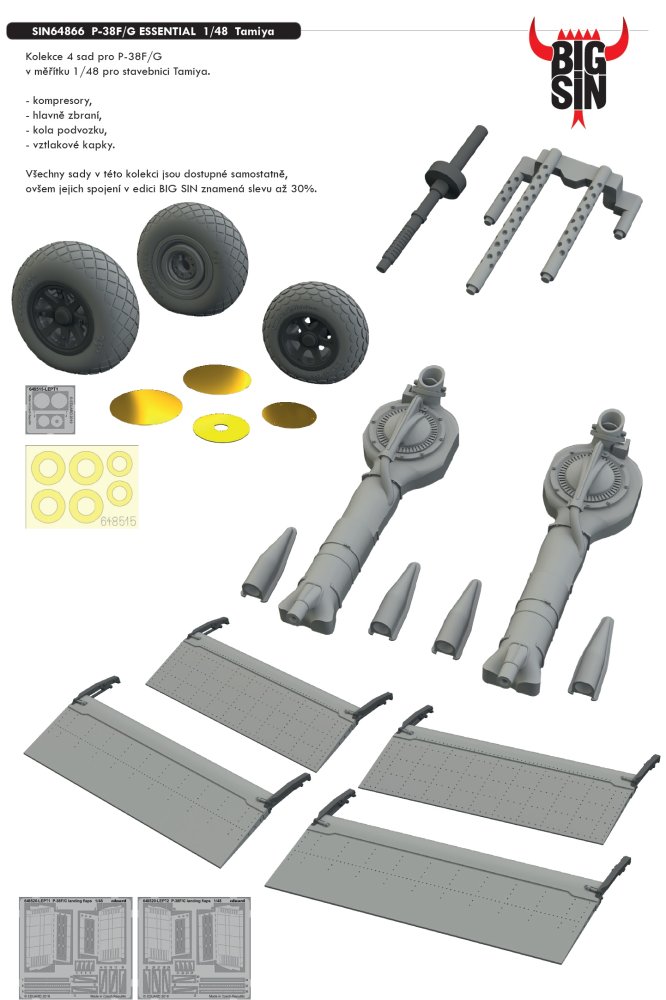 BIGSIN 1/48 P-38F/G ESSENTIAL (TAM)