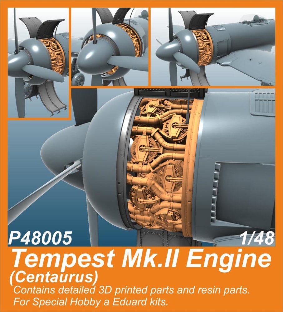 1/48 Tempest Mk.II Engine (Centaurus) 3D Printed
