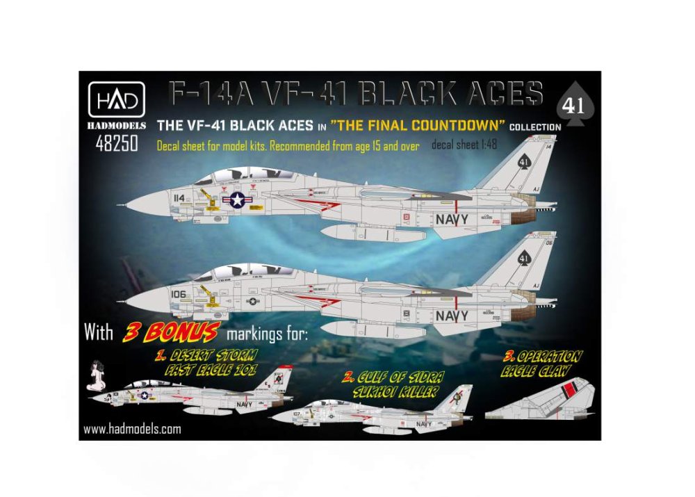 1/48 Decal F-14A VF-41 Black Aces 