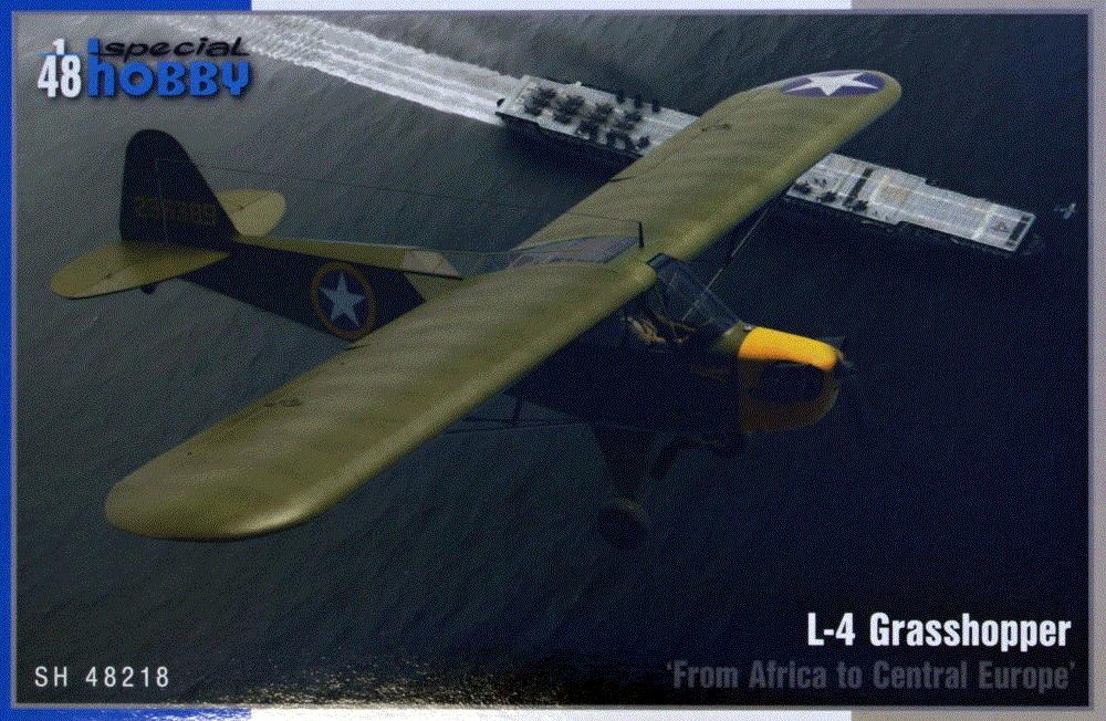 1/48 L-4 Grasshopper From Africa to Central Europe