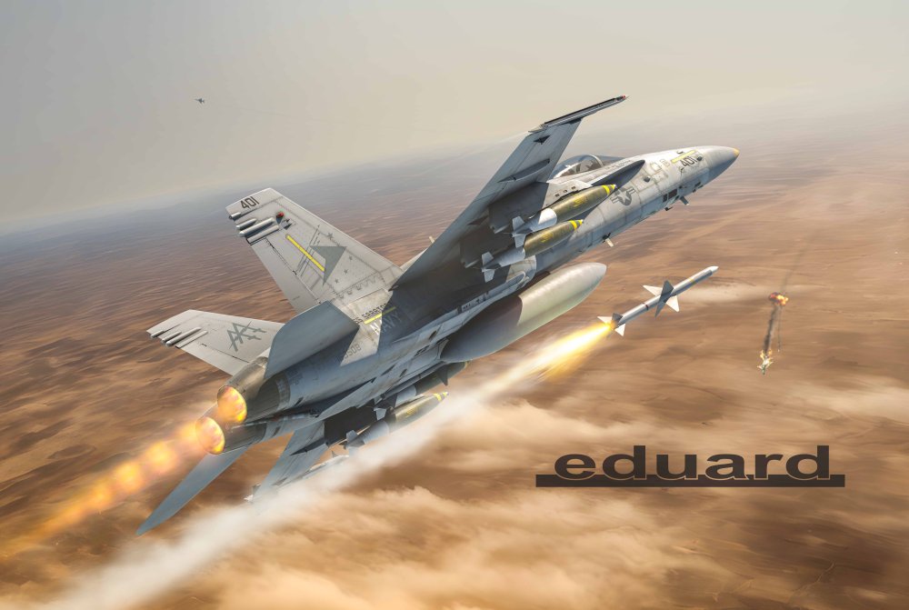 1/48 HORNET LEGACY - Limited Edition (ex-KINETIC)