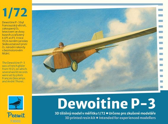 1/72 Dewoitine P-3 (3D printed resin kit)