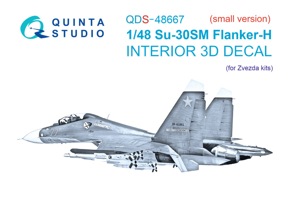 1/48 Su-30SM 3D-Print&col.Int.(ZVE) SMALL